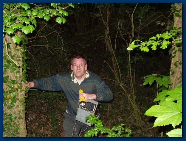 600x449 pixels (172K)